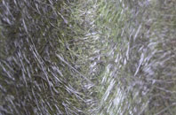 Deepclough fibreglass roof work